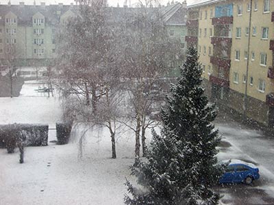 Schneegest�ber Schneegest�ber